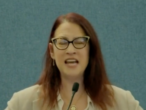 Congresswoman admits: Dems meet ‘every single week’ to plot lawfare against Trump